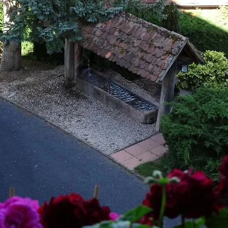 La Maison Fleurie Dieffenbach-au-Val Exterior photo